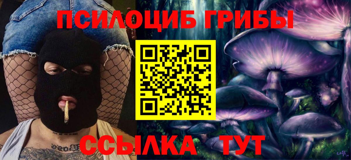 Псилоцибиновые грибы Psilocybe Усть-Илимск