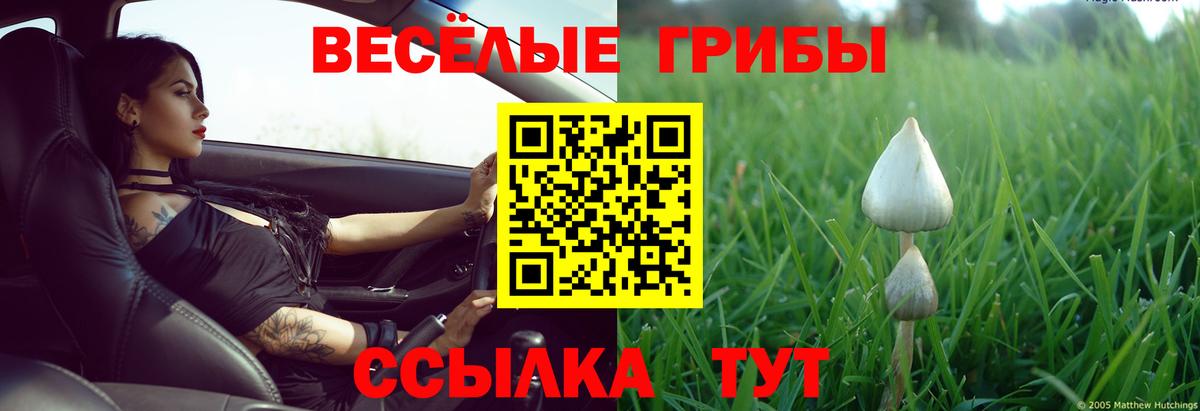 Галлюциногенные грибы Magic Shrooms  Вход с VPN  Усть-Илимск  Галлюциногенные грибы MAGIC MUSHROOMS 